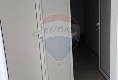 Hala si teren, depozitare, parcare-Spațiu industrial - 29