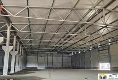 Spatiu industrial de inchiriat Vidrasau Mures - 4