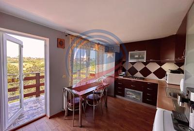 Vila cu 6camere de vanzare in Carcea/Dolj - 21