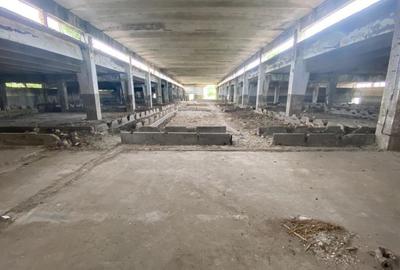 Hale industriale, 30000 mp, teren 65000 mp, zona Podari - 13