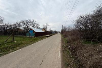 Teren intravilan 1.308mp + 3.008mp extravilan in Urechesti de vanzare - 9