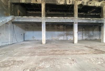 Hale industriale, 30000 mp, teren 65000 mp, zona Podari - 17