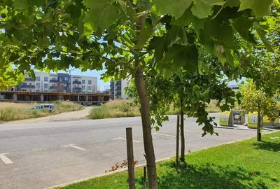 Apartament cu 3 camere decomandat în Theodor Pallady