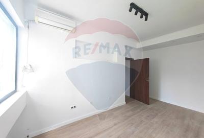 Apartament 3 camere pentru inchiriere - zona Aviatorilor - Primaverii - 8