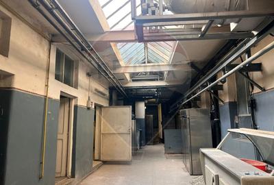 Proprietate mixtă pe N. Bălcescu – spații comerciale + apartamente - 4