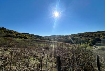 Teren intravilan 700mp , zona Valea Gârbăului - 2