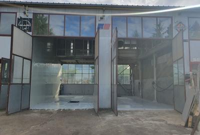 Hala industriala de inchiriat pe Calea Bucuresti folosinta multipla - 11