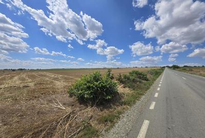 Teren agricol extravilan de 8333 mp, în Nord-Est
