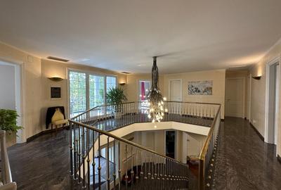 Vila individuala, teren 3000 mp, Iancu Nicolae - 20