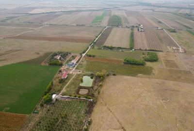 Casă cu teren 13 418 mp intravilan - 8
