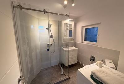 Loft 150 mp cu terasa proprie si intrare separata, Ion Mihalache / Clucerului - 10