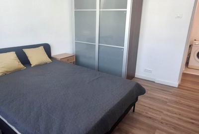 Titulescu, Victoriei, apartament decomandat, mobilat/utilat nou, locuit /birouri - 7