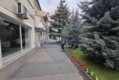 Spațiu comercial ultracentral in Salonta - 2