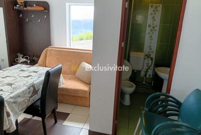 Cabană P+M de vânzare în Rânca - 20