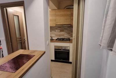 Garsoniera Nicolina, renovata, mobilata si utilata! - 8