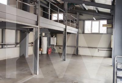 Spațiu comercial, depozitare 250 mp, parter + mezanin, Sibiu - 1