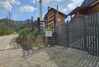 Teren 4048mp Campulung Moldovenesc, Strada Izvorul Alb, Suceava - 5