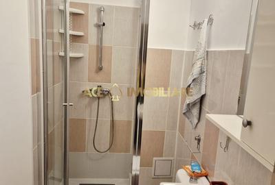 3 Camere de inchiriat | Gorjului | Metrou | Pet friendly | x2 Bai - 12