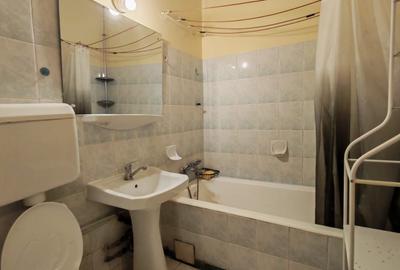 Apartament 2 camere Ion Mihalache - 12