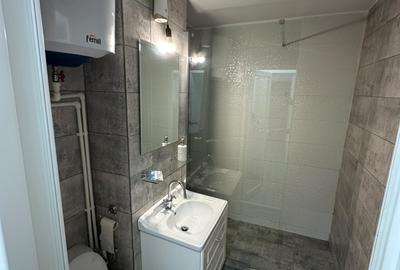 Apartament 3 camere decomandat | Râul Doamnei  | Închiriere pe termen lung - 11