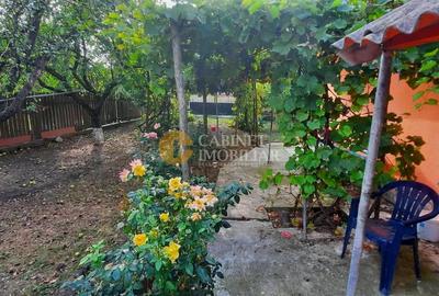 🏡 CASĂ BĂTRÂNEASCĂ LOCUIBILĂ DE VÂNZARE – TRIFEȘTI, IAȘI 🏡 - 3