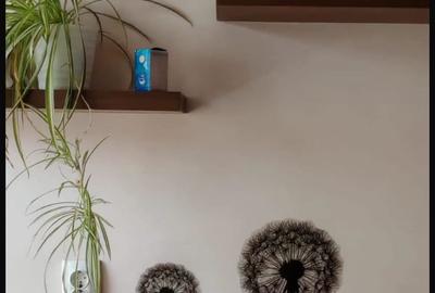 Apartament cu 3 camere, 58 mp utili, Armatei Române, Oradea. - 10