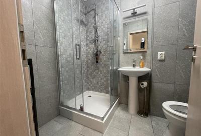 Apartament cu 2 camere si terasa in City Residence - 10