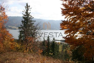 Oportunitate langa lacul Colibita! Teren intravilan 12.588 mp! - 5