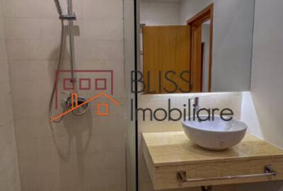 Casă / Vilă 7 camere în zona Iancu Nicolae - 13