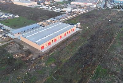 Vanzare depozit/spatiu industrial/hala Chitila - Rudeni, ILFOV - 8