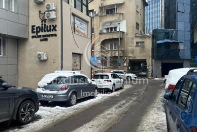 Victoriei Birouri /Vila Pasaj Basarab - Nicolae Titulescu Banu Manta - 6
