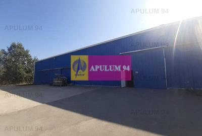 Spatiu Logistic langa Bucuresti Hala 5000 mp - 46