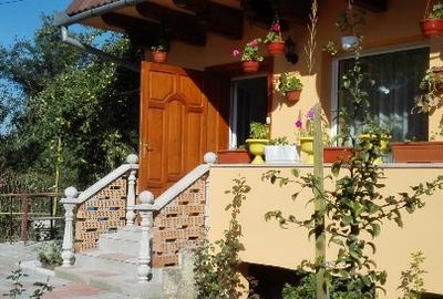 Casă cu gradina in zonă liniștită cu acces privat - 6