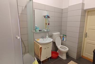 Casa singur in curte in Sibiu zona Piata Cibin - 10
