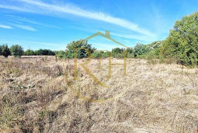 Teren agricol extravilan de 11273 mp, în Plopi