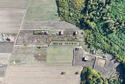Refugiu la marginea padurii — 2822 mp de liniste in Cocani. - 5