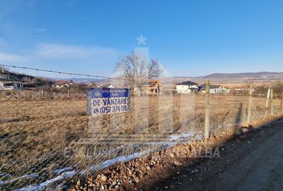 Teren intravilan | De vanzare | 3000 mp | 85 ml deschidere | Micesti - 6