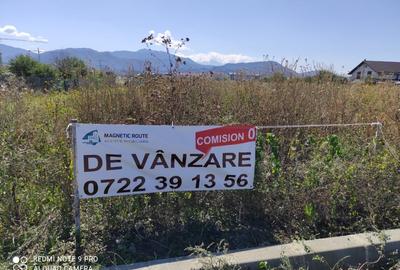 Teren pentru constructie blocuri - 2