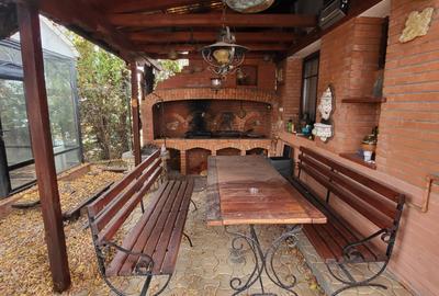 Vila lac snagov in cea mai buna portiune a lacului, ponton, garaj barca, piscina - 41