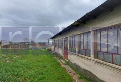 CASA | TEREN 2000 MP | CURTE GENEROASA | IDEAL PENTRU GRADINA SAU LIVADA - 1