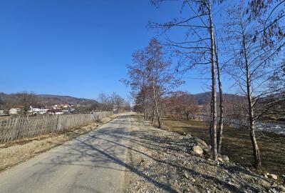 Teren 2500 mp în natură, Valea Bratia, priveliște spre munți - 3