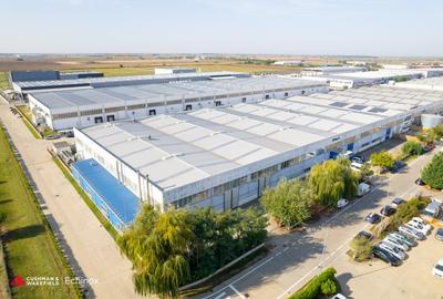 Timișoara - Depozit și birouri de vânzare - 11