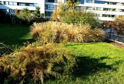 Apartament superb, 3 camere, MOBILAT si utilat - 5