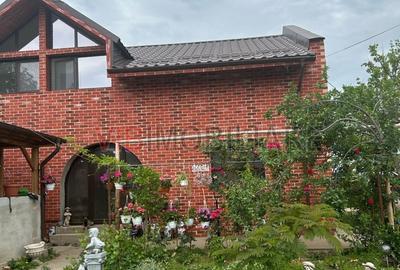 Vanzare Vila Rustica, Suprafata Generoasa, Frumusani - 1