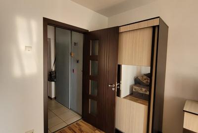 Dristor, garsoniera langa Kaufland, 5 minute metrou, PET FRIENDLY - 4