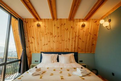 Afacere la cheie in Vatra Dornei, 2 cabane tip A Frame! - 17