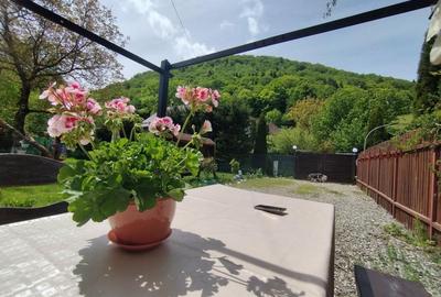 Casa individuala Predelut Bran Brasov - 30