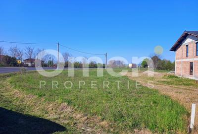 Teren Intravilan | 3444 mp | Tăuții Măgherăuș - 4