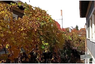 Casa D+P, teren 500mp, garaj, Intre Lacuri, str Dunarii, Cluj-Napoca, comision 0 - 2