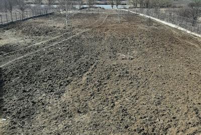Teren la Lac intravilan construcții Corbeanca Ilfov - 5